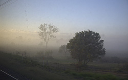 foggy morning from the train